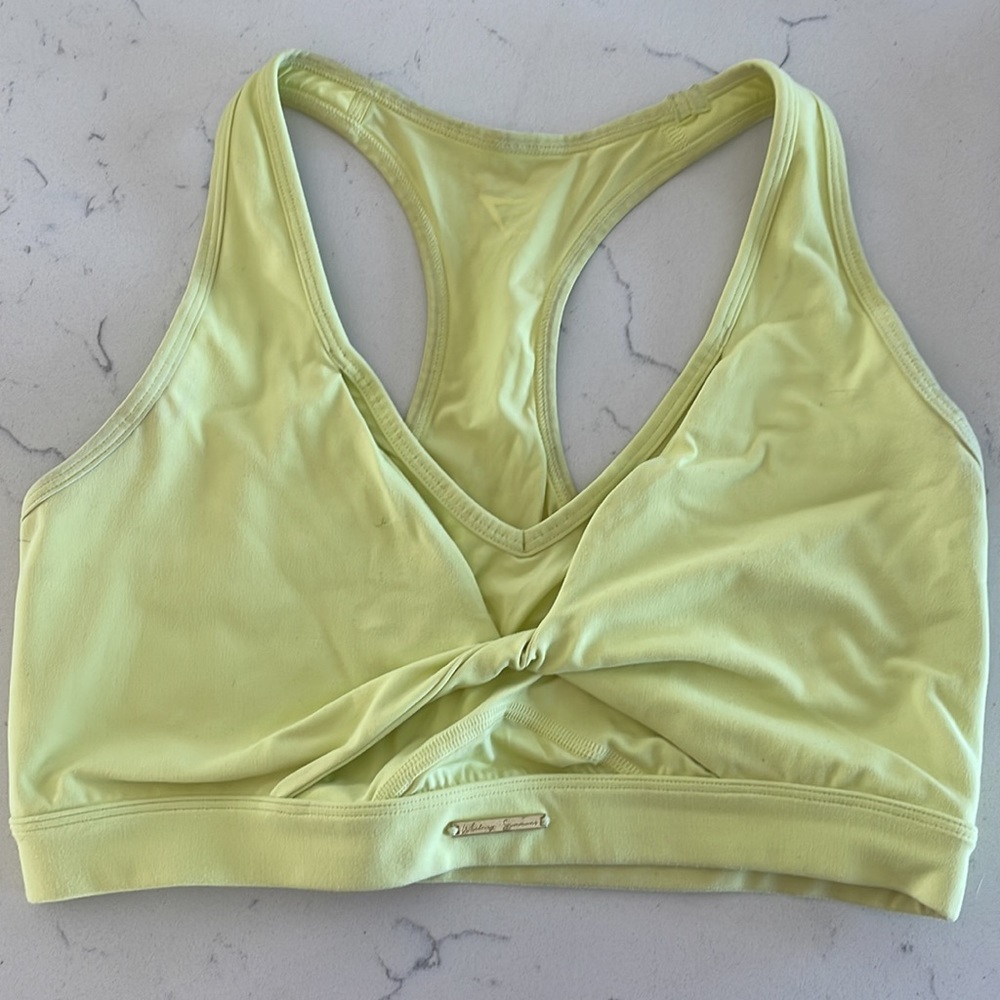 Whitney Simmons front twist sports bra